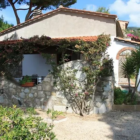 Peducelli